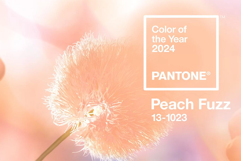 Pantone 2024 Peach Fuzz